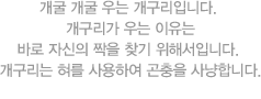 잠자리는 곤충 최고의 비행사입니다.