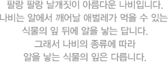 잠자리는 곤충 최고의 비행사입니다.