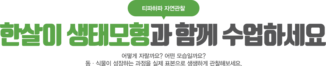 한살이 생태모형과 함께 수업하세요
